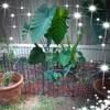 dannyanderso108